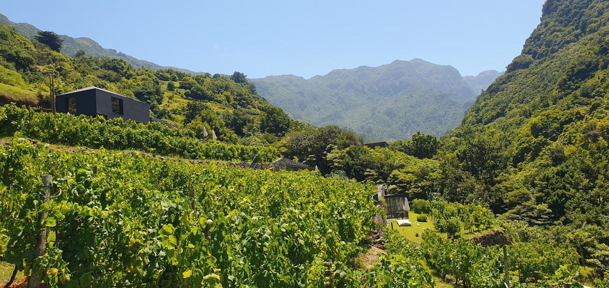 Terrabona Nature & Vineyards Boaventura Exterior foto